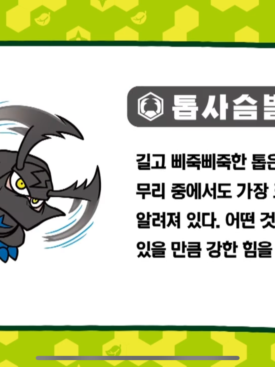 벅스닌 다른 버전 대표 이미지