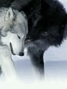 TrendyTree3743의 북부대공 로판