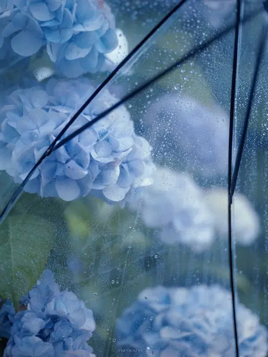 01s.ang의 🔮ㅣ첫사랑