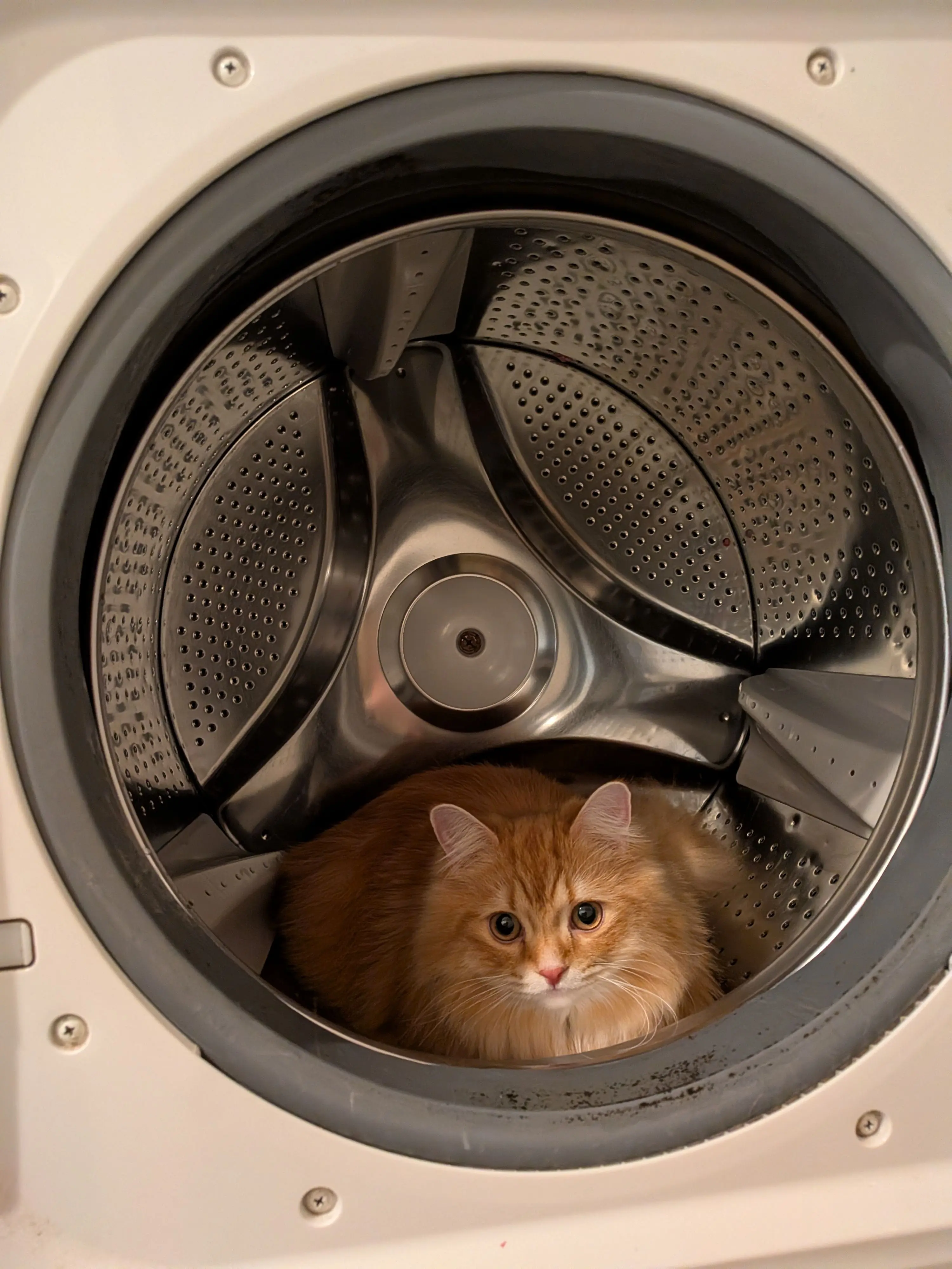 ______Miran__ILoveYou의 参 考 作 品  。