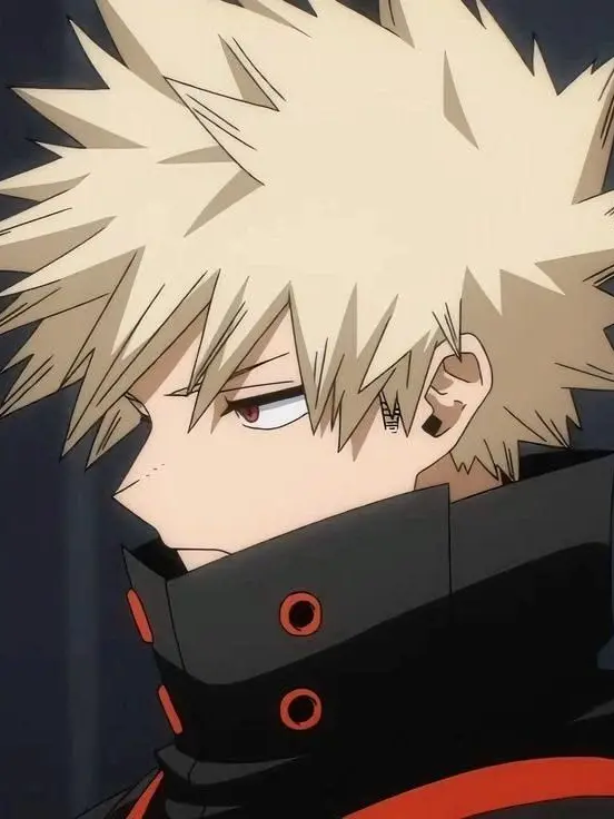 HighCodec1067의 Bakugo