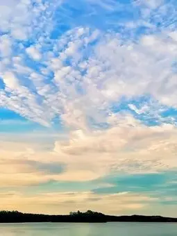 FrankHair6464의 椎菜家