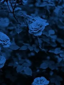 MuskyVomit5171의 친한 언니가 조직보스인 것에 대하여.