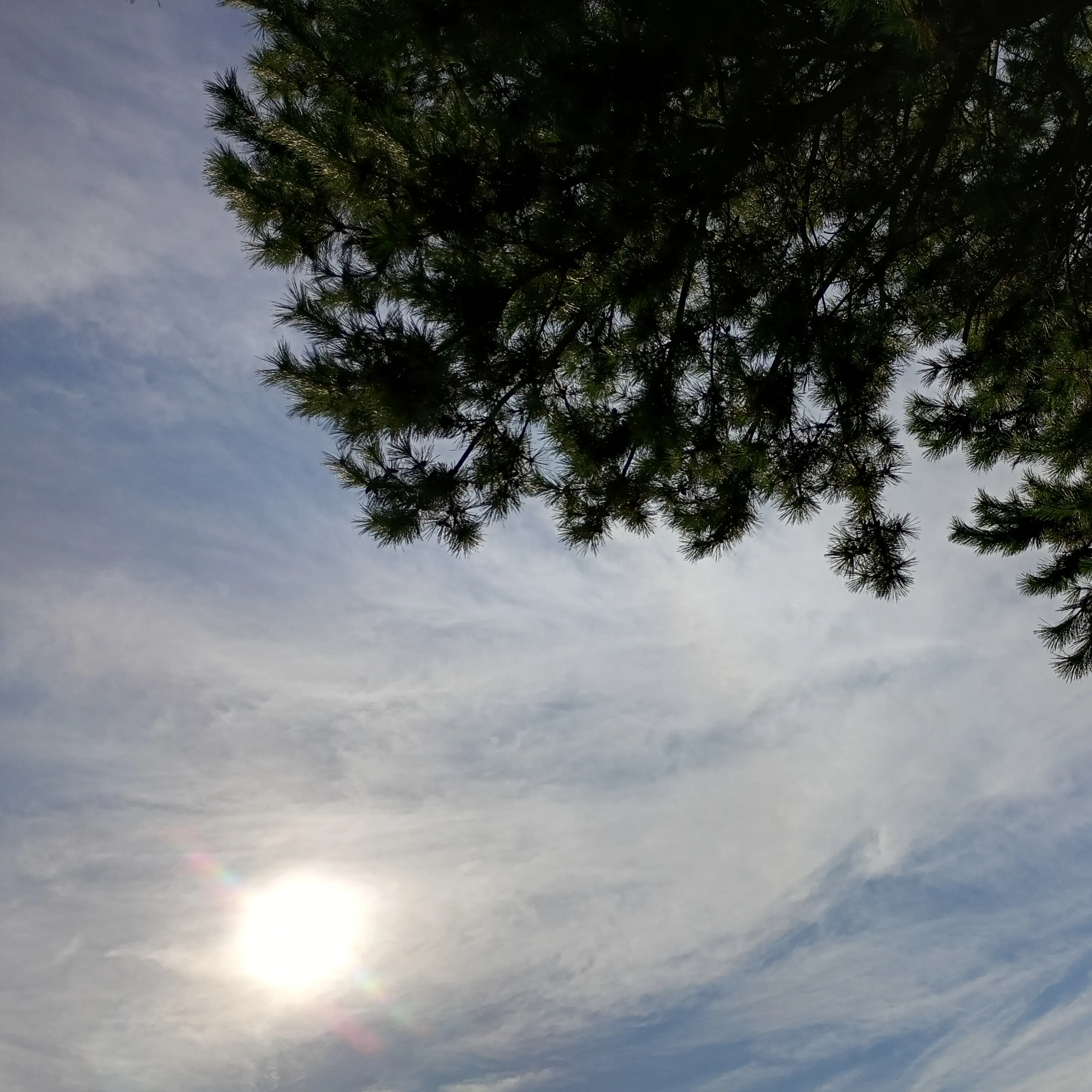 yasaidaisuki의 夢世界物語