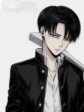 Leviwafe의 리바이 아커만