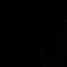 moondust의 何かが死んだ夏