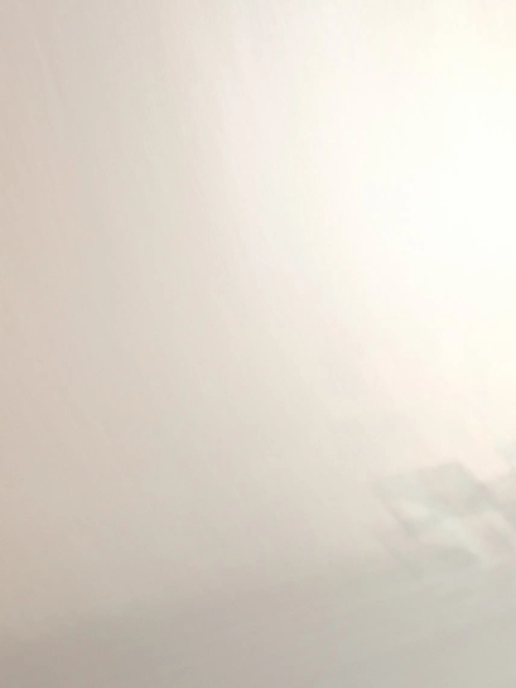 STAYMOON의 [ 냥럿즈 수인물 ]