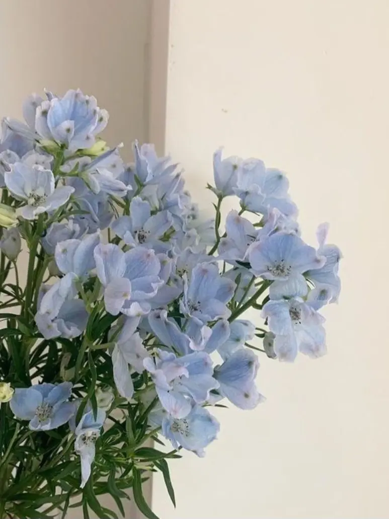 dinosaur_05.20의 픽셀리 멤버들에게 납치되었다.