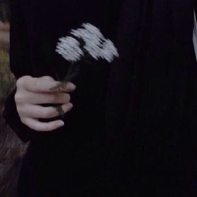 [죽음이라는 이름의 무희가 춤을춘다]
