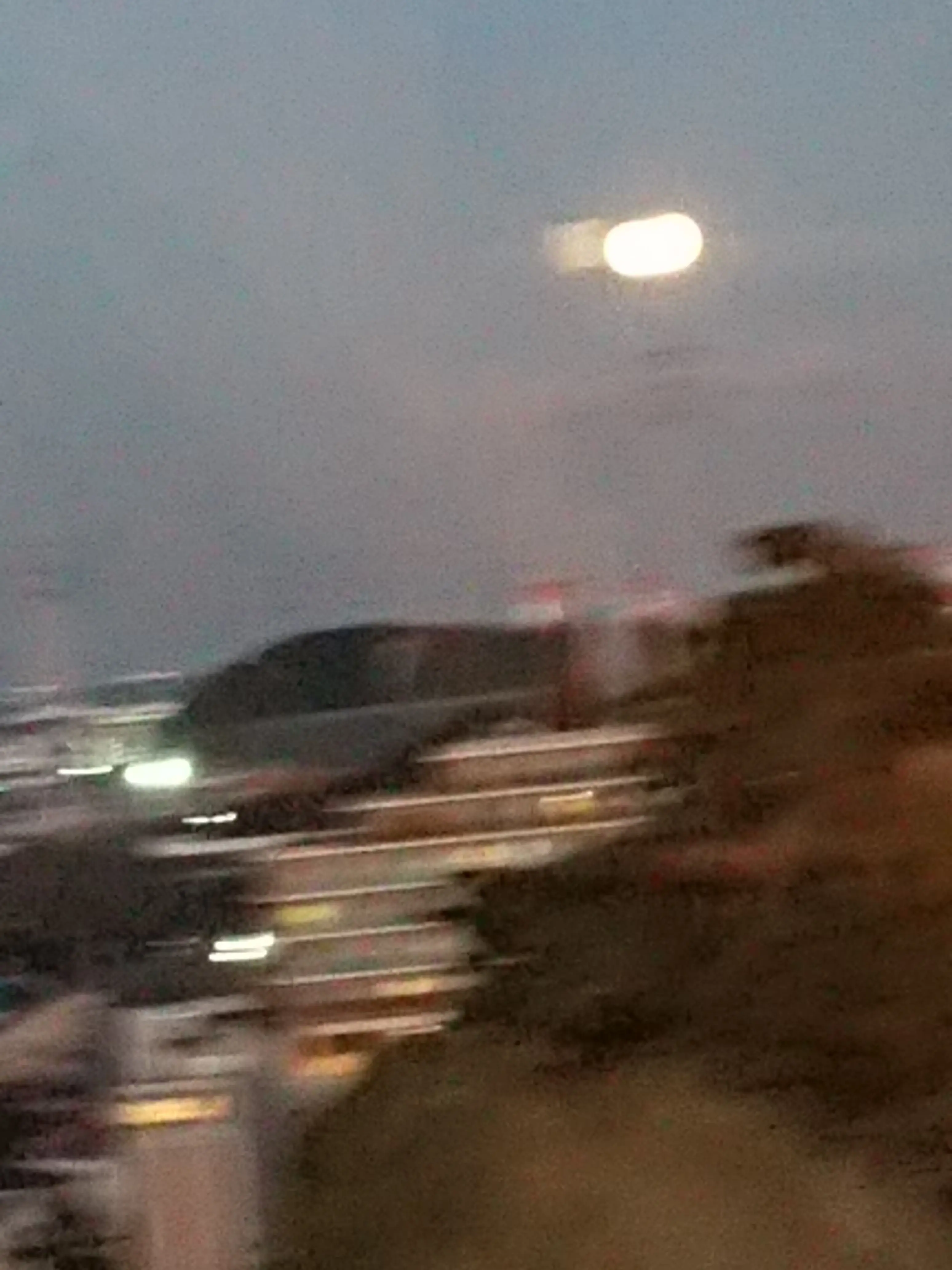 VitalVole5812의 シニタイ   なんて   イワナイデ