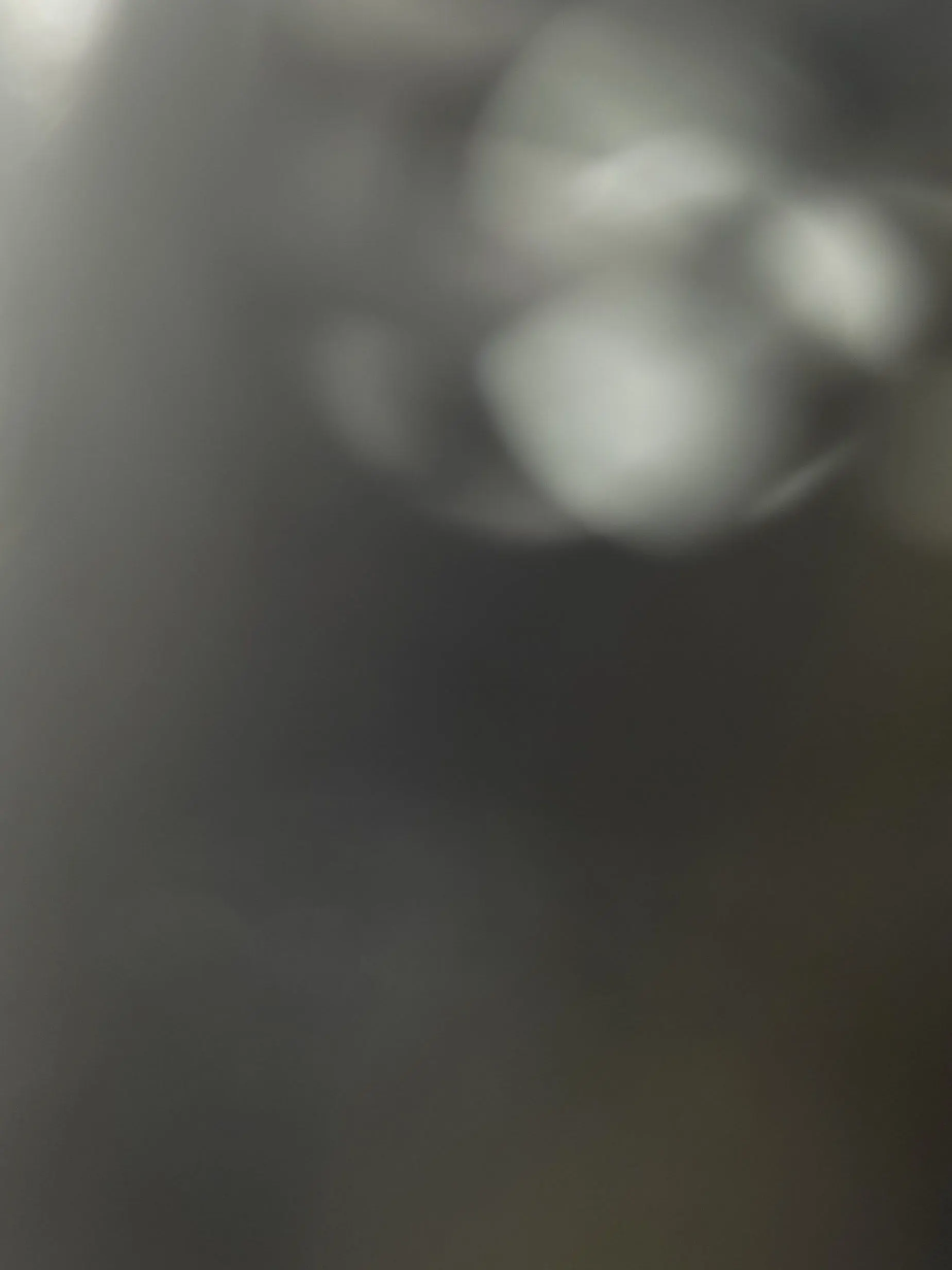 Onionying의 안시온3