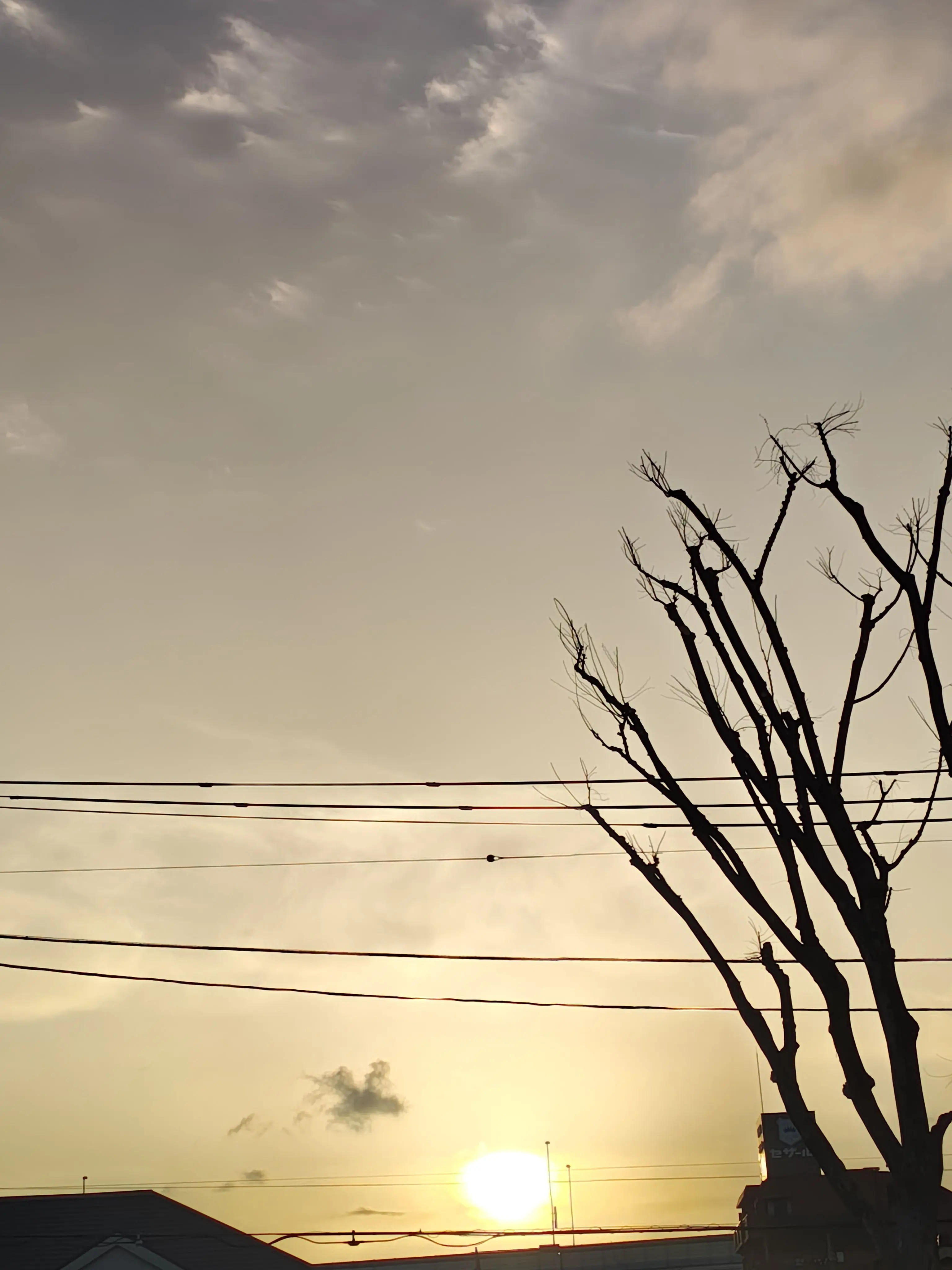 JaggedLip6575의 School ♡