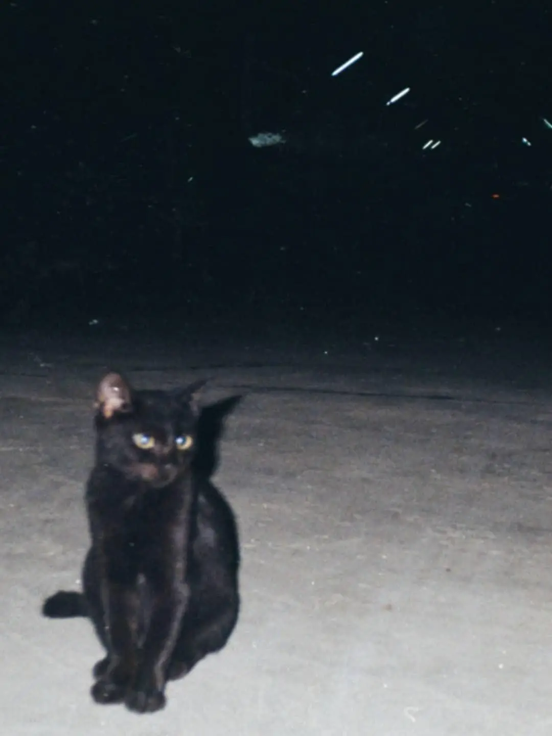 uxxxy628의 先生あのね！