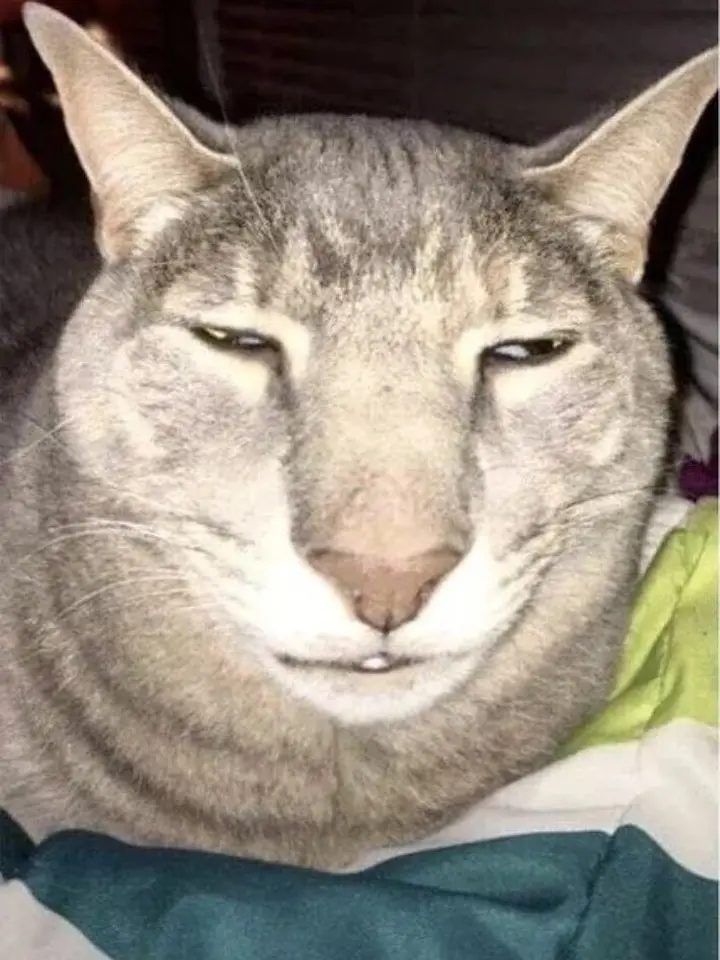 LeanBarb5162의 귀멸의칼날인데.,, 여우가 있다???