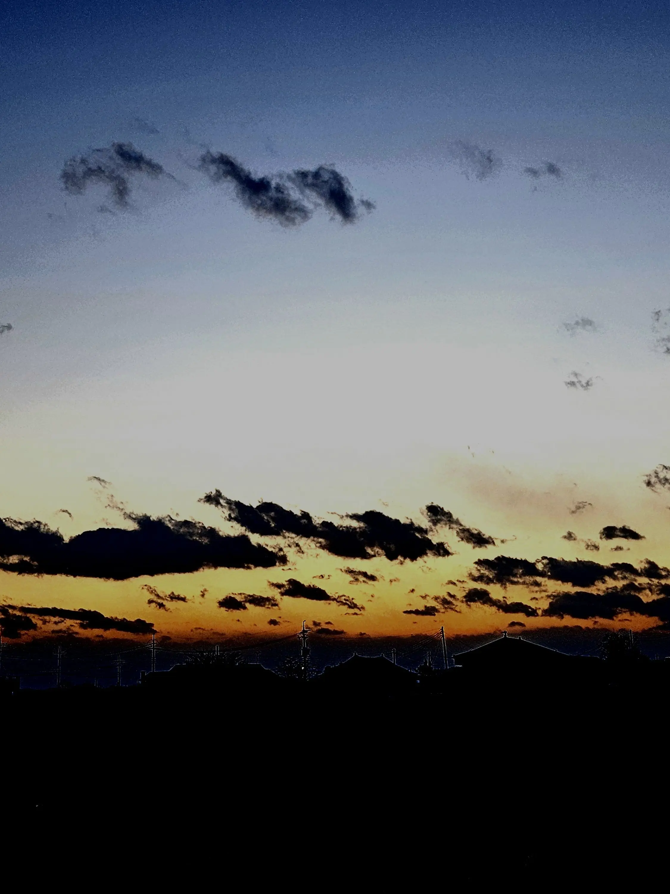 Haram010251의 미수반+여우