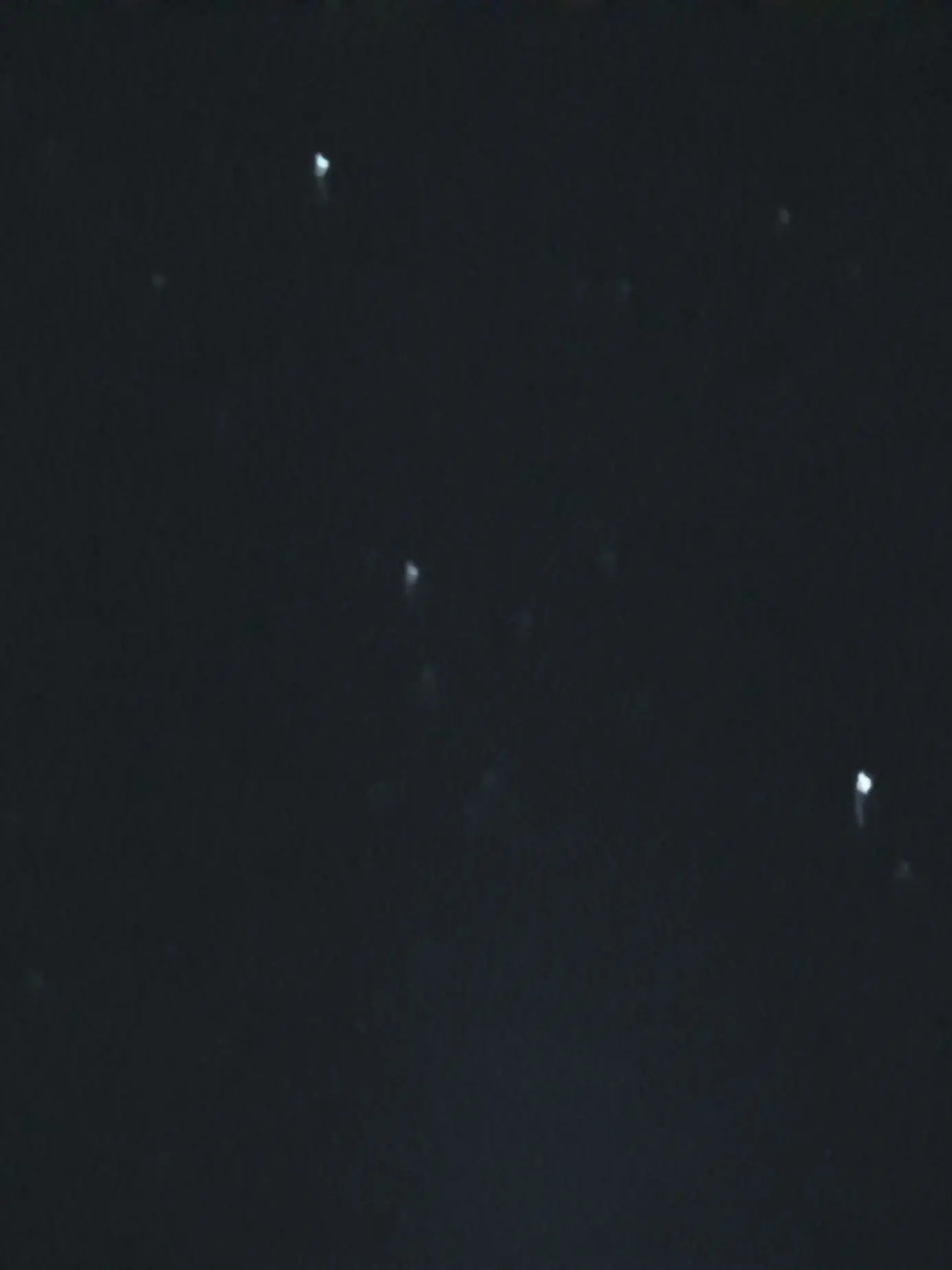 LonelyTimer0621의 눈색으로 계급정해지는 학교