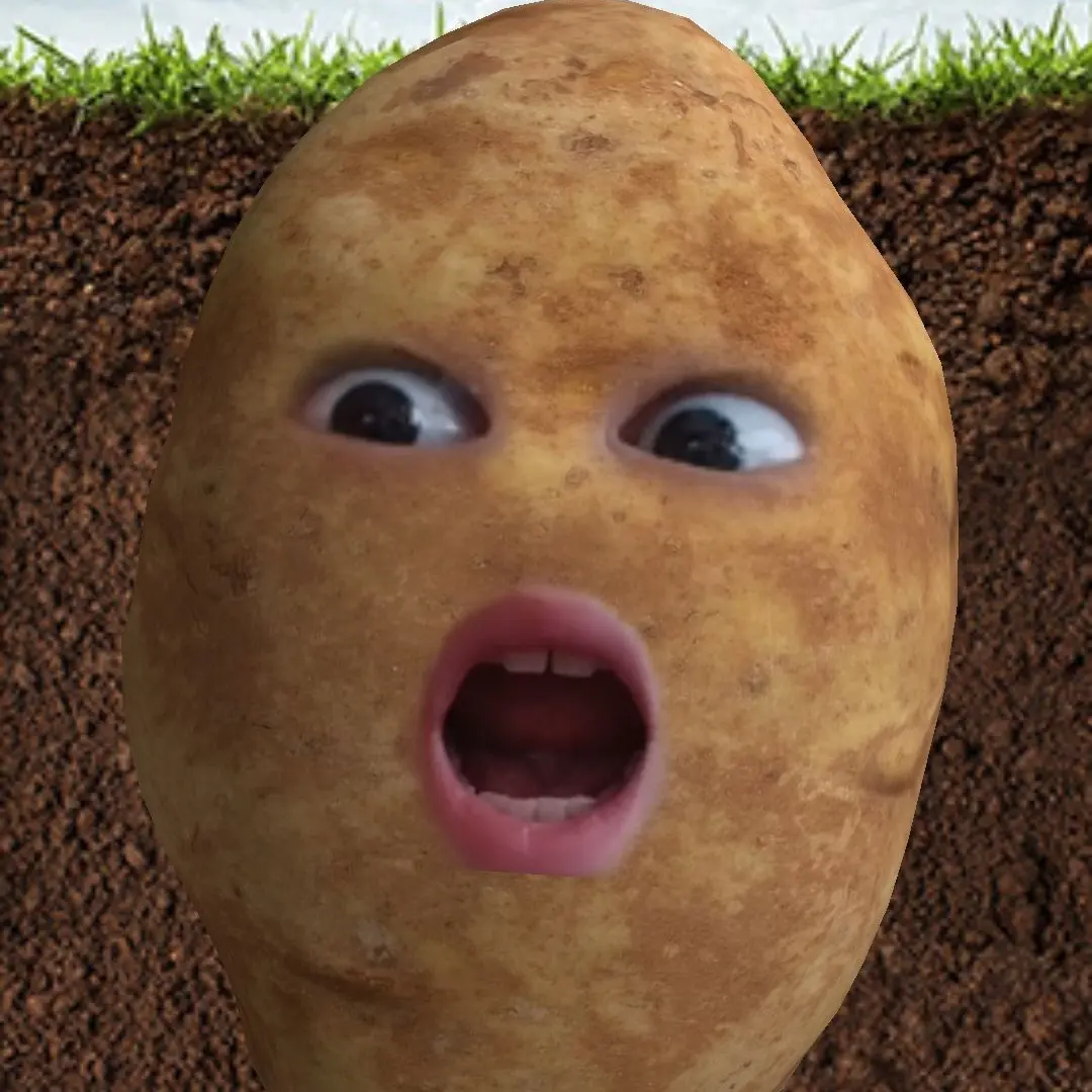 BlandCharm1068의 기둥들과 여름휴가