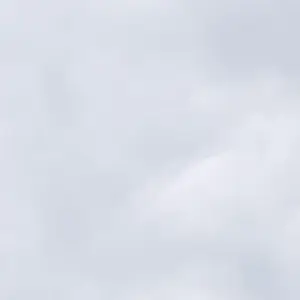 TealZorse0049의 조직