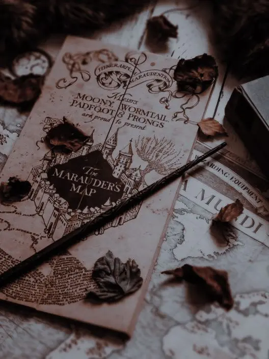 delicious_food의 Harry Potter's Sister