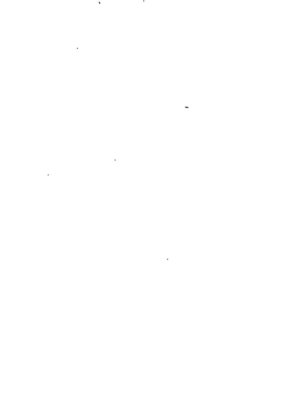 seroae_13의 보플 조직