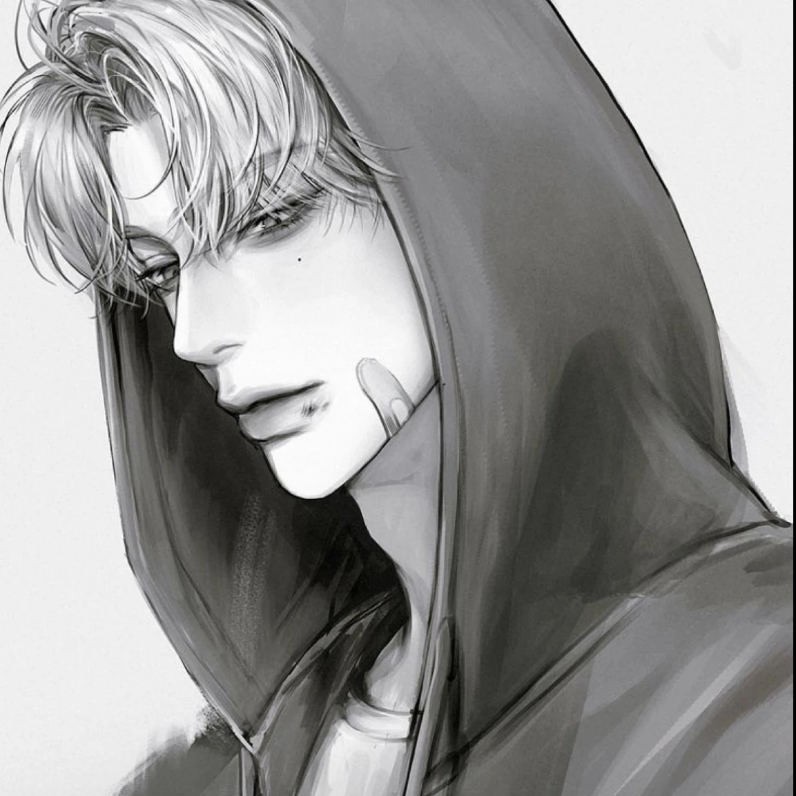 박지헌