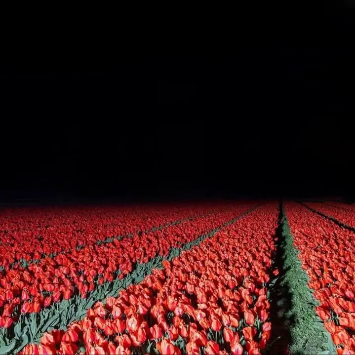 Yes_so_what.의 저승길