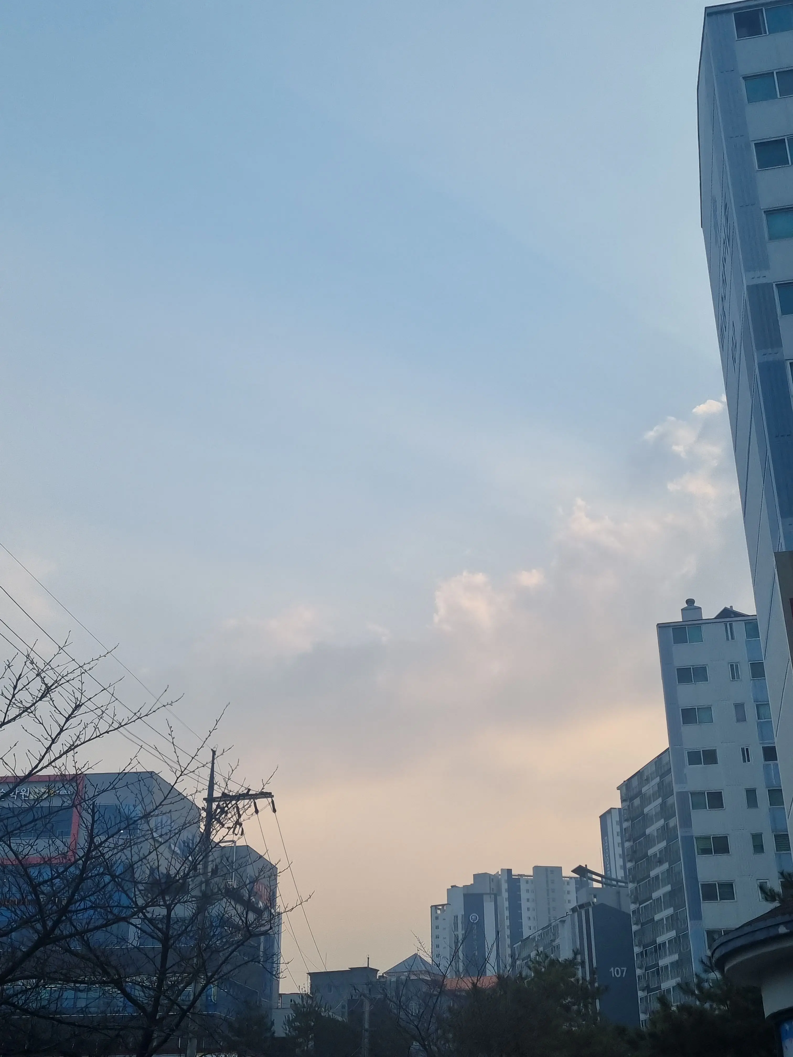 Ridleroseheart의 감독생이 방에서 안나온다~