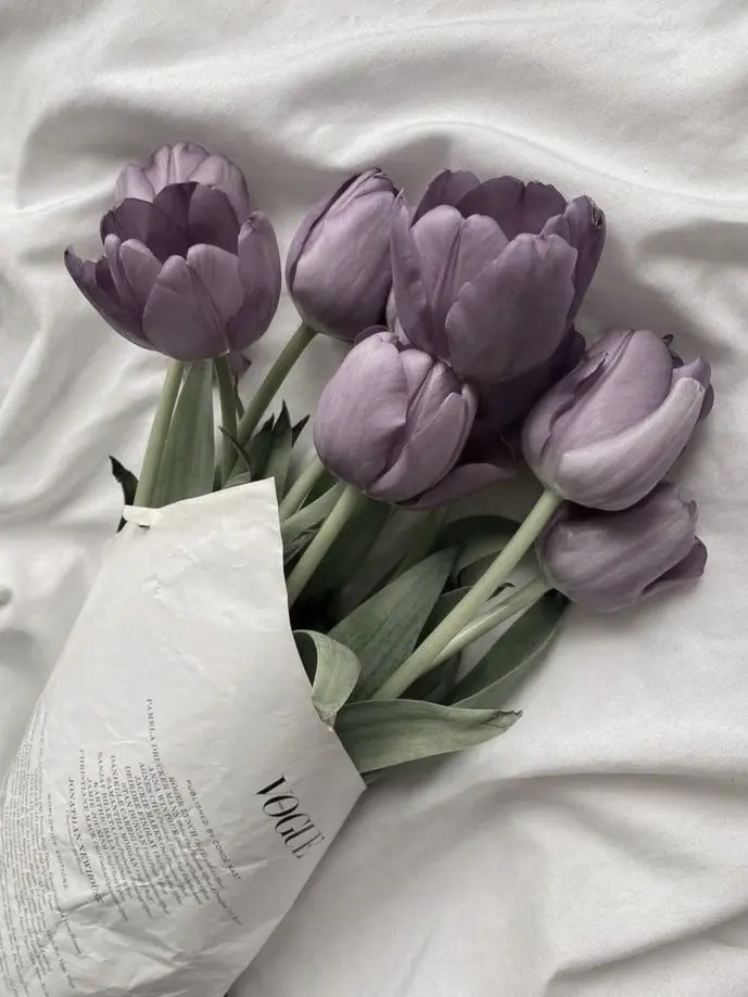 ISTJ0929의 호시나 소우이치로