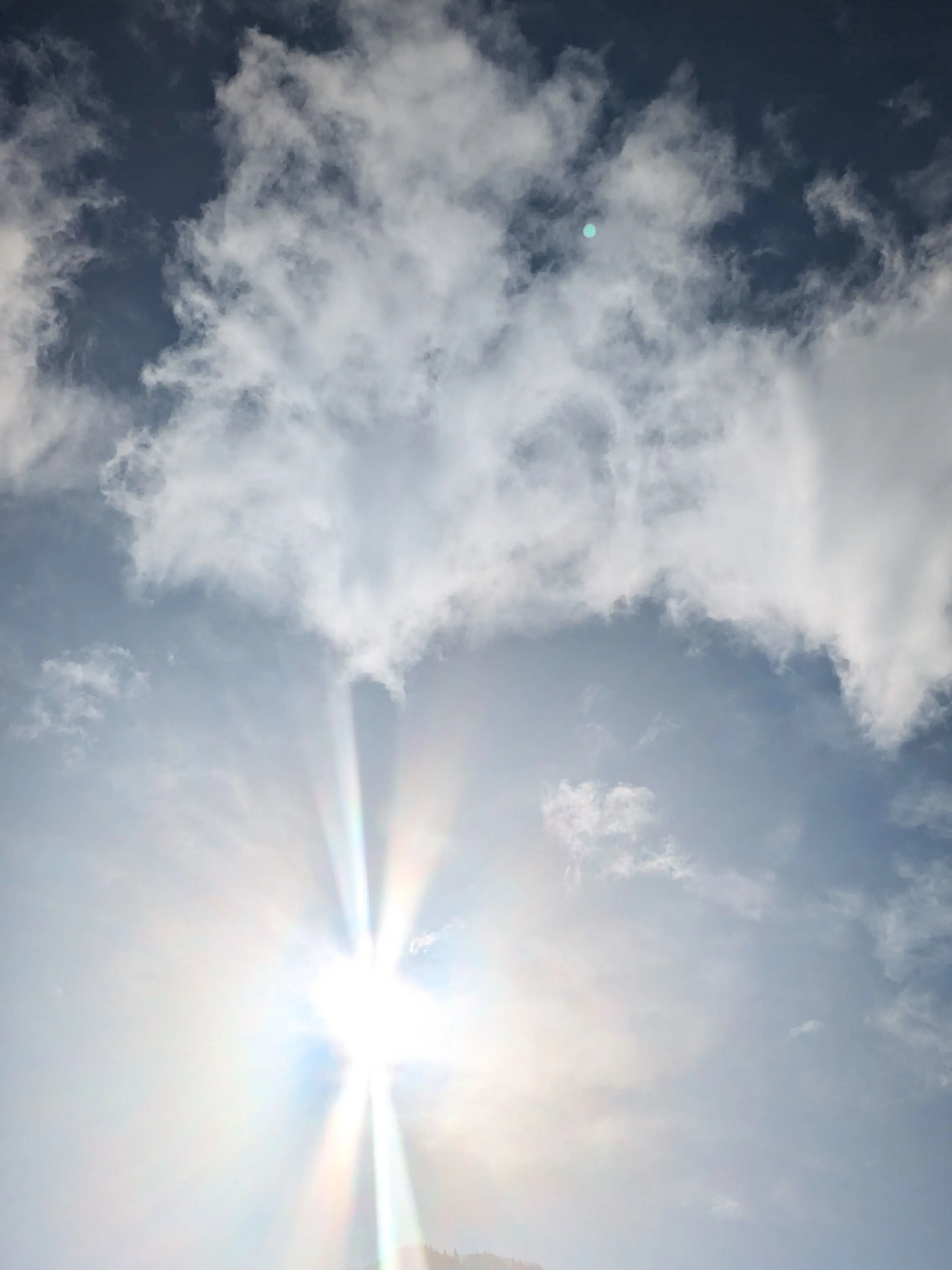 TravisJapan1028의 お兄ちゃんガチャ