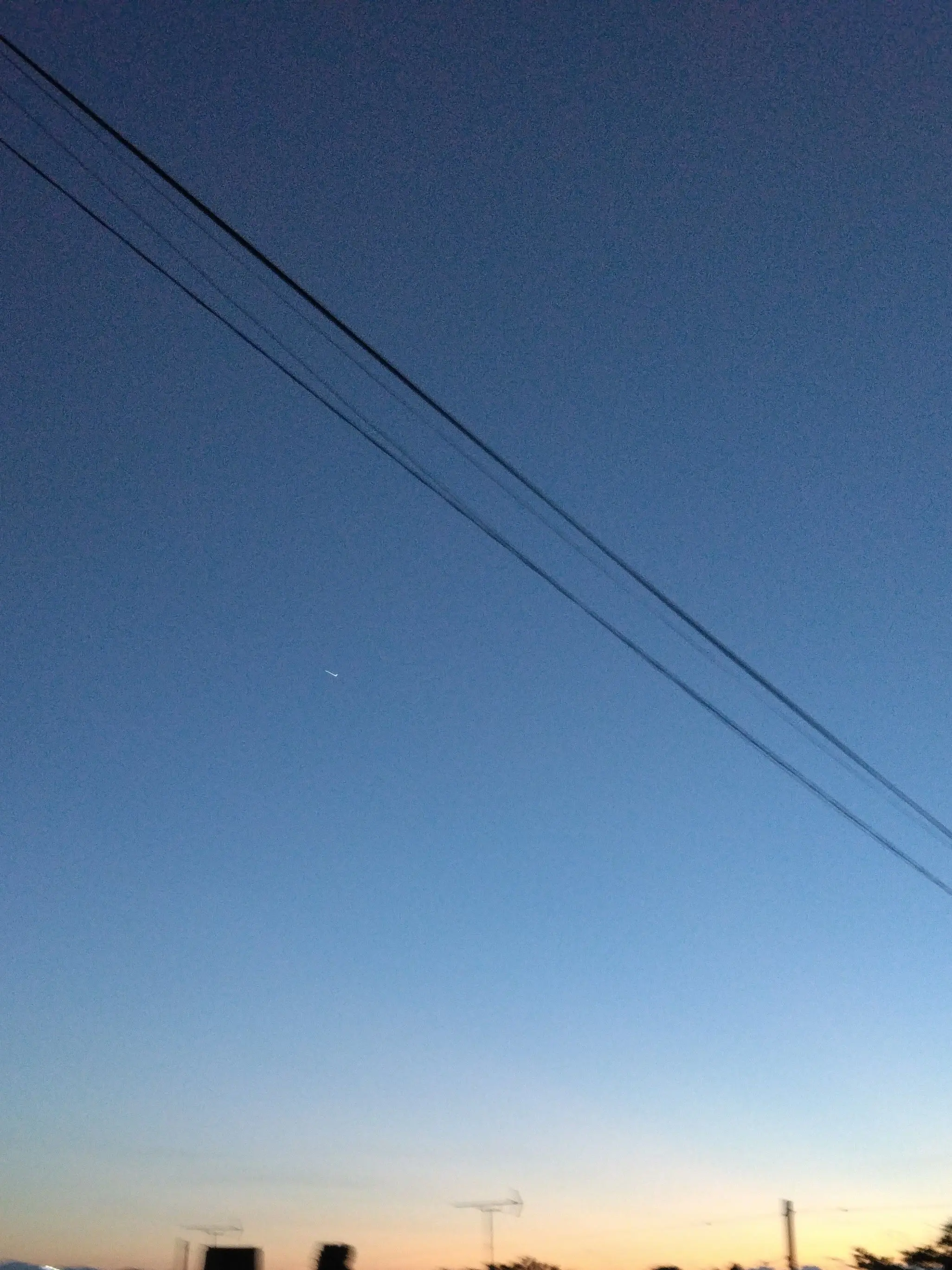 GoodSlug6073의 人間界に迷い込んでしまった！？