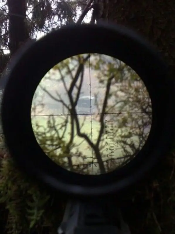 NoaPlli_twinkle-PLV의 『 反轉 (반전) | 숲의 소녀 』