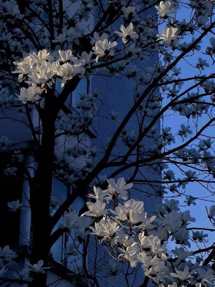 Midnight_의 팀 F7
