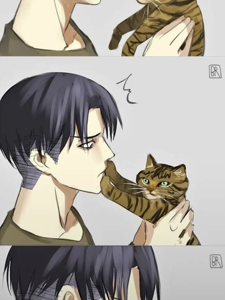 WeakFire4028의 리바이 주인님