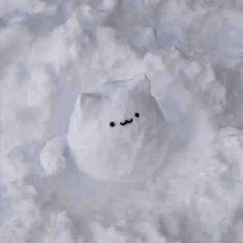 FoggySitar3152의 人質に。