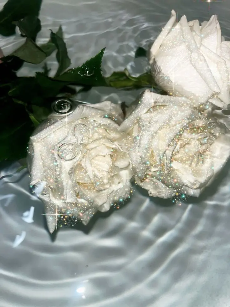 dpxnp의 어차피 안 믿어 줄거면서