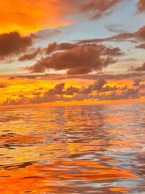 I_love_F1ag의 술취한 코마