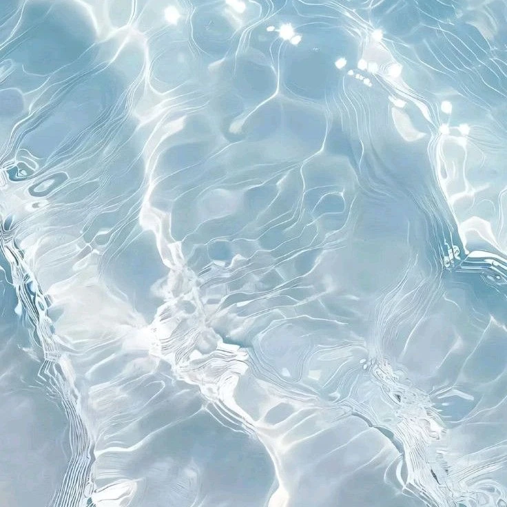 ドイツ組に愛される！