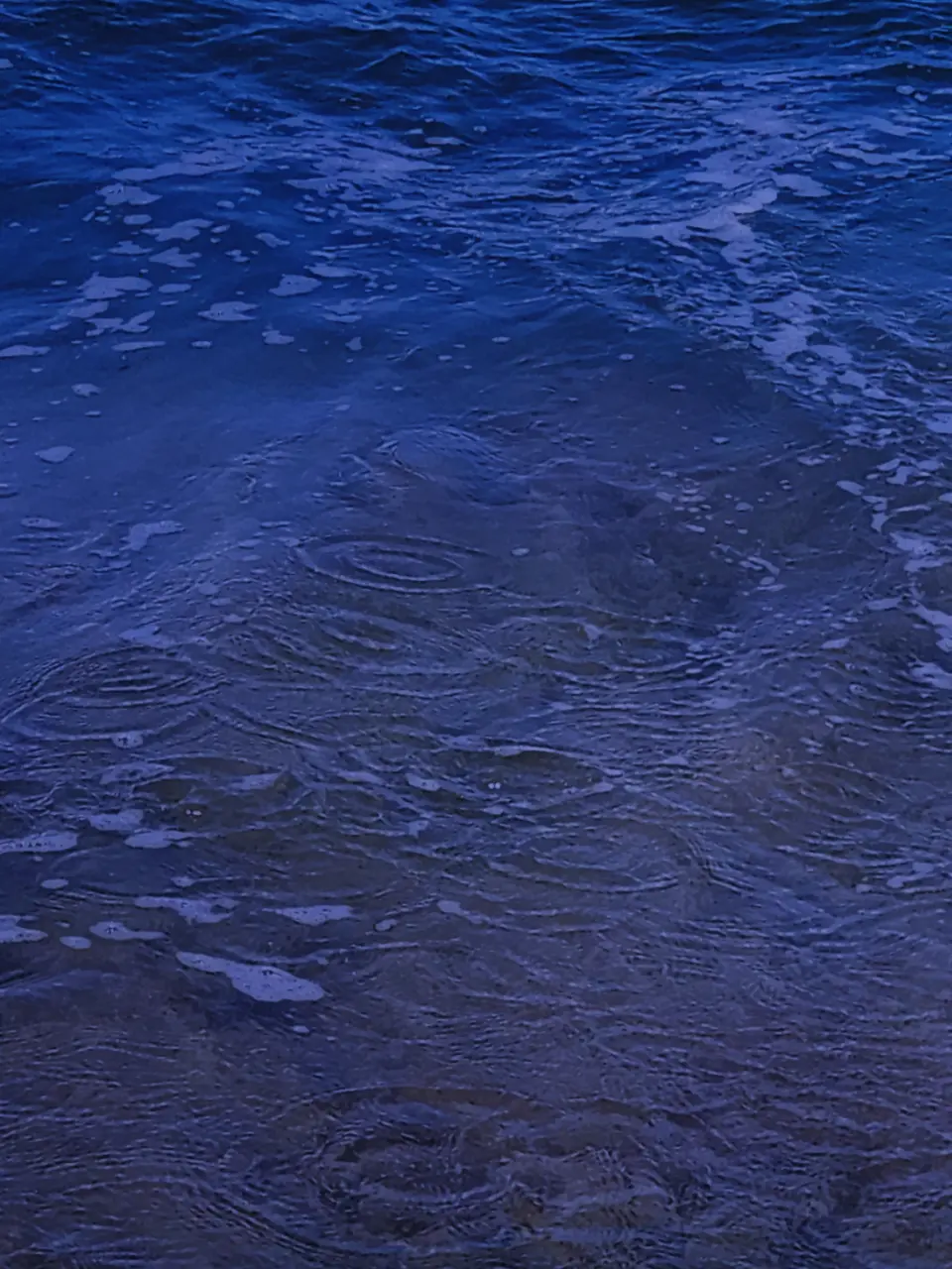 sosei_의 君と僕の海