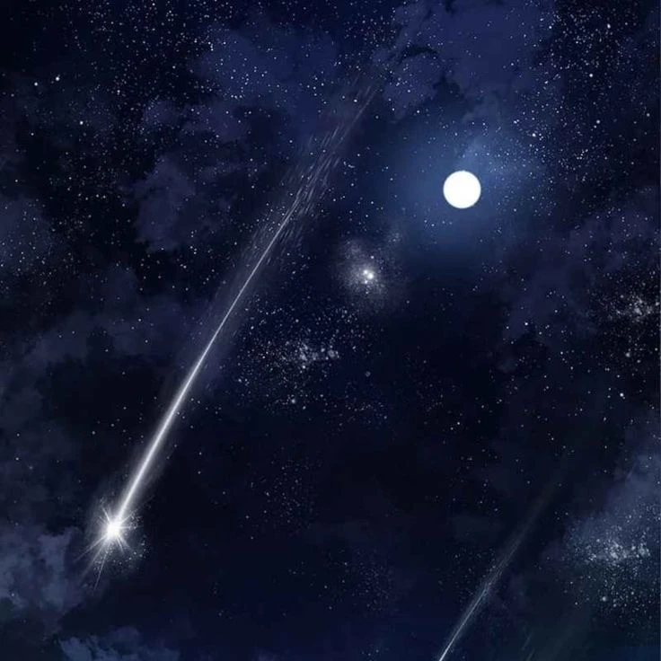 개인용