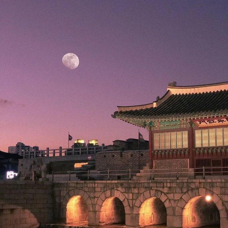 폭군 황제는 사실 오메가 [BL]