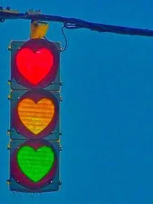 VitalStem3680의 신호등조⌯' ▾ '⌯