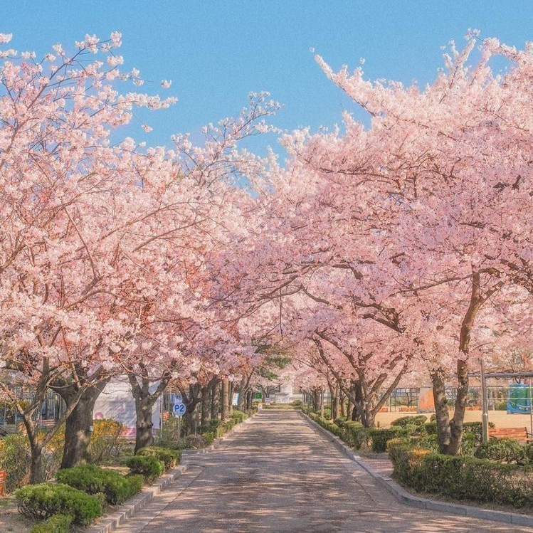 앰포리어스 미연시 대표 이미지
