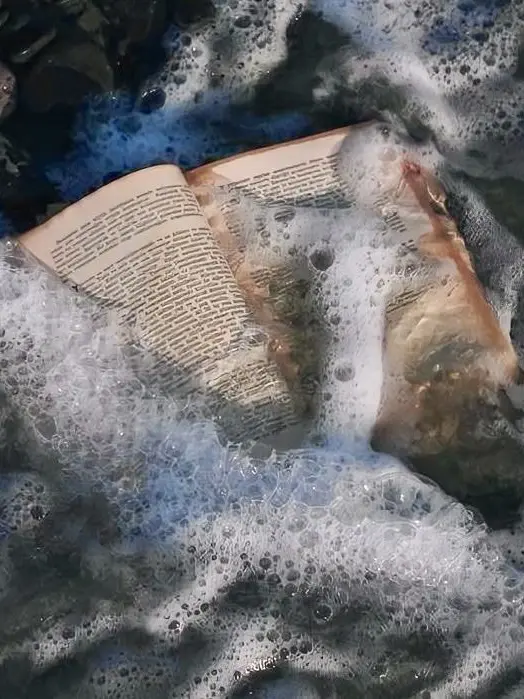 opera_0222의 인어 {{user}}, 재벌 카르에고