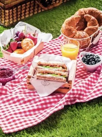 Guidesan의 Picnic Date with Elliot