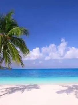 Nysx의 Paradise