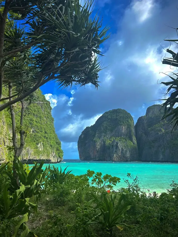 OswaldLuxky의 They're at your island.