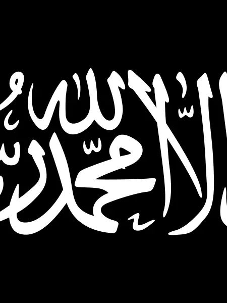 Bareunmirae_Party의 韓国のアルカイダ