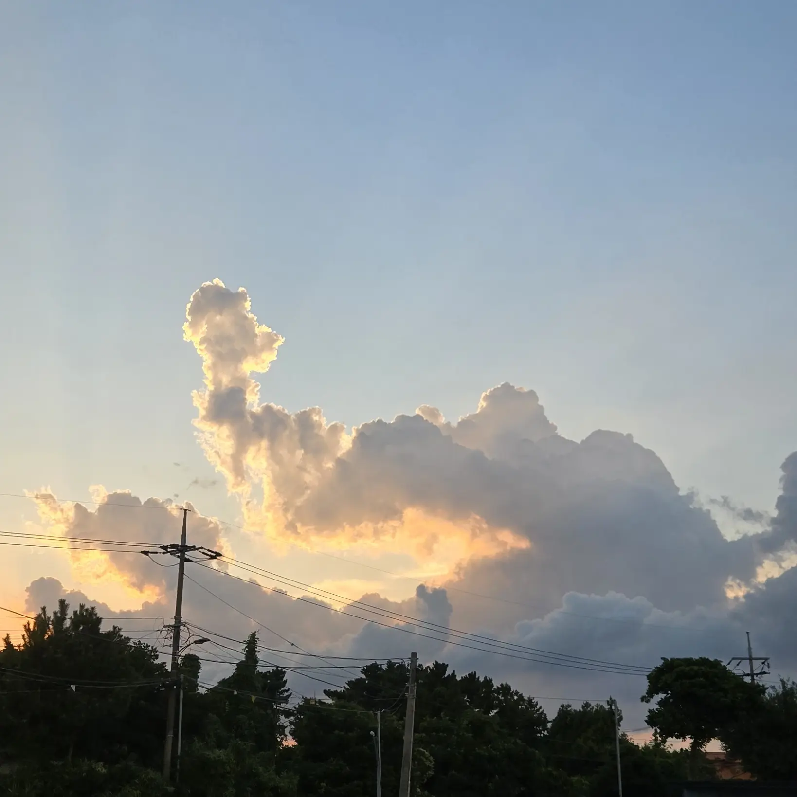 playground의 찐 남사친