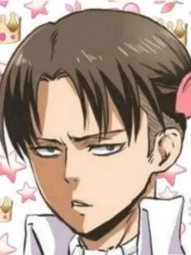 SleepyAlbum7445의 리바이 볼따구