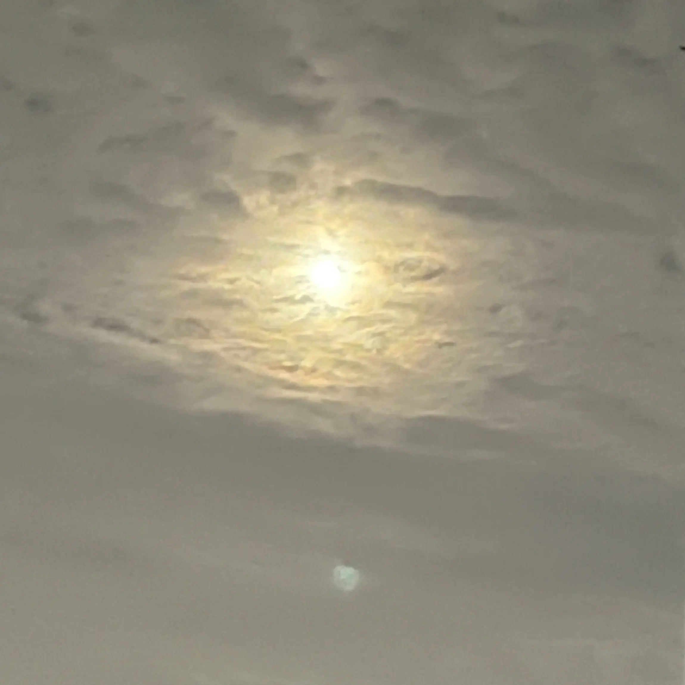 Reincarnationschoolmonster412의 웃소 초능력 스쿨(여우&늑대&일찐)